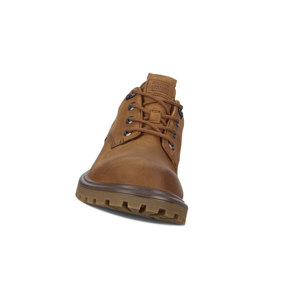 Men's Ecco Tredtray Hiking & Trail Brown | USA 575PJJ